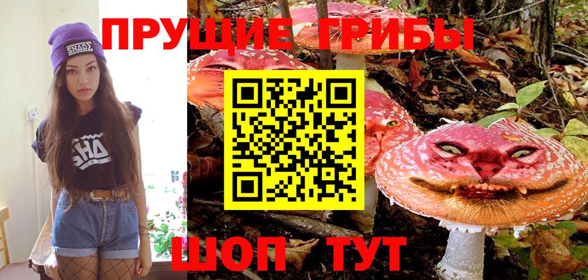 Галлюциногенные грибы прущие грибы  Галлюциногенные грибы Psilocybe  Вход с VPN  купить закладку  Серов 